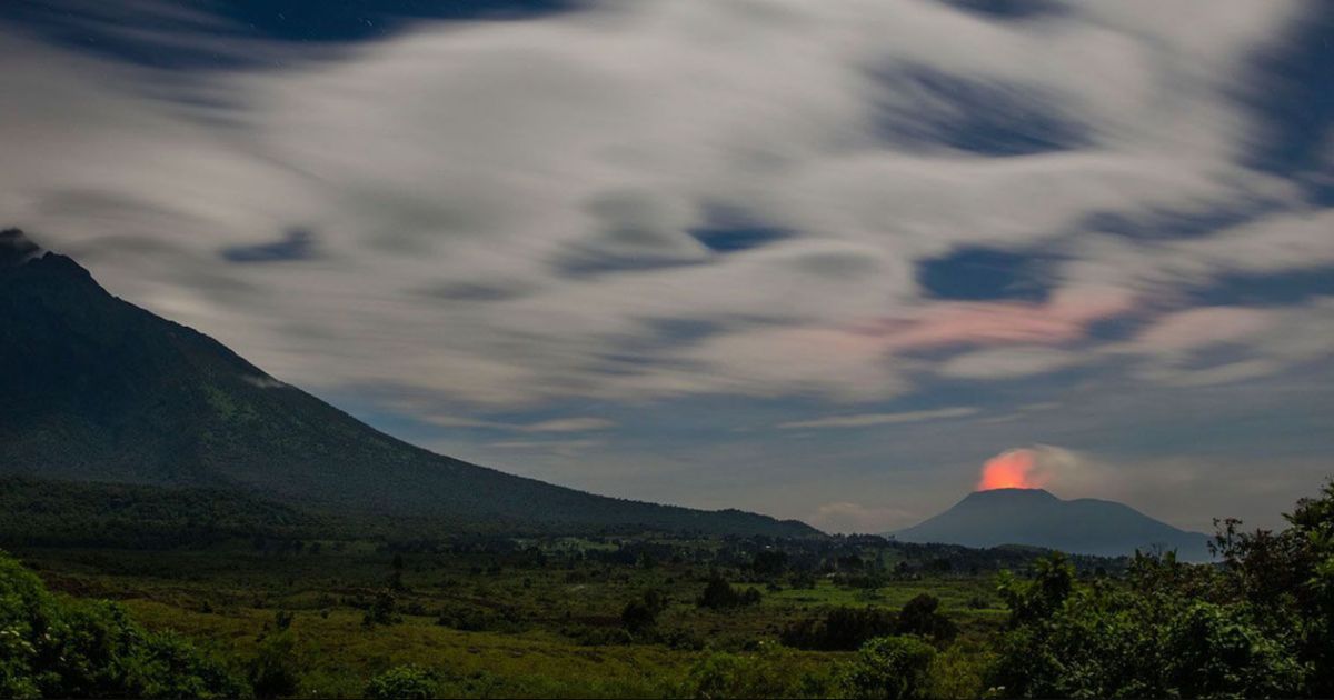 Guardians of Life: How UNESCO Sites Protect the World’s Rarest Biodiversity