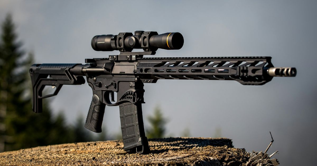 After the Shots: Ukraine Debates Easing Gun Restrictions Amid War